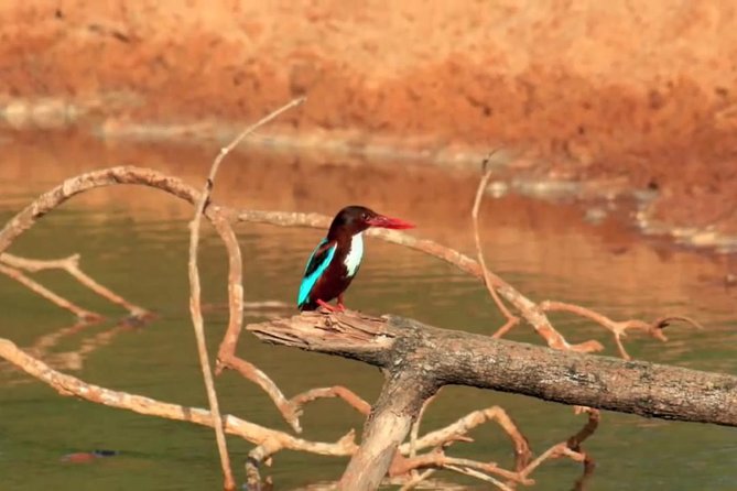 Yala Safari by Yala Safari Wonders - The Guides Make the Main Difference