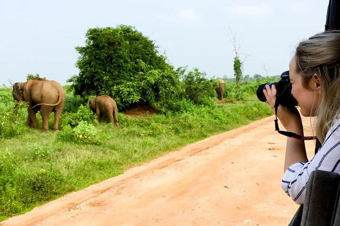 Yala Safari Day Trip from Bentota/ Kalutara/ Ahungalla/ Hikkaduwa - Booking, cancellations, and small practical points