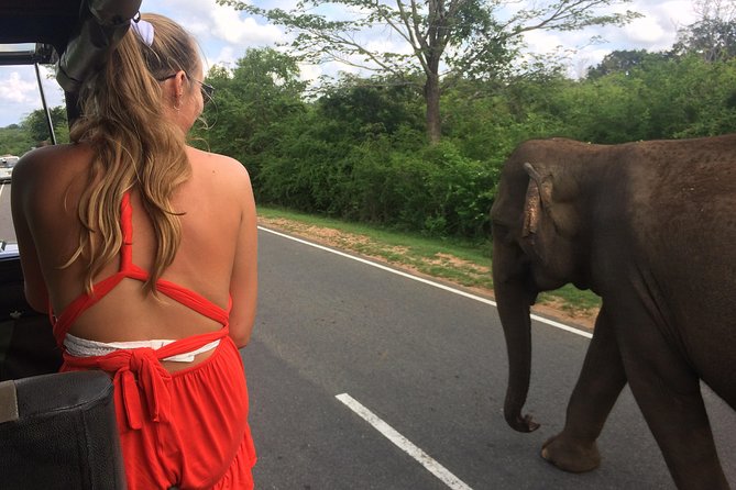 Yala Safari Drive From Galle, Weligama, Mirissa & Dickwella - The 5 AM departure from Mirissa, Weligama, or nearby towns
