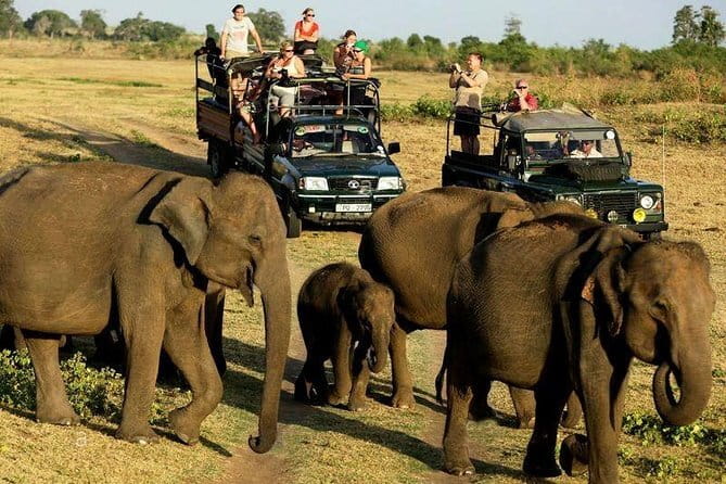 Yala Safari Private Day Tour From Kaluthara/Beruwala/Bentota/Kosgoda/Ahungalla - Who should book this Yala safari?