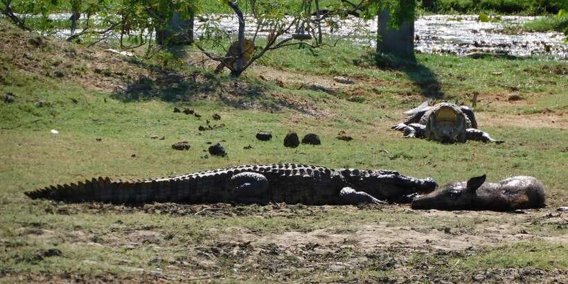 Yala Safari Tour from Hambantota Port area (Shore Excursion) - Booking and cancellation details