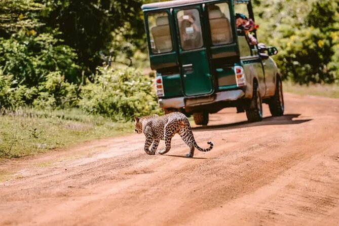 Yala Safari Tour from Hambantota Port by Ajith Safaris - The drive from Hambantota Port to Yala