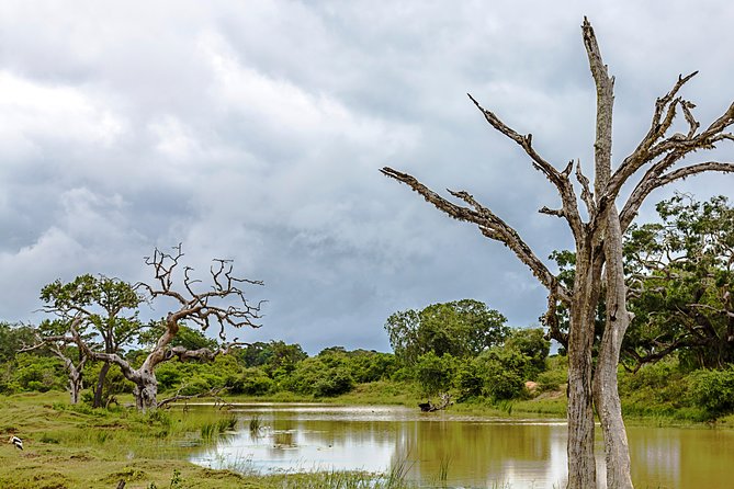 Yala Safari Tour from Hambantota Port by Ajith Safaris - The return to Hambantota Port