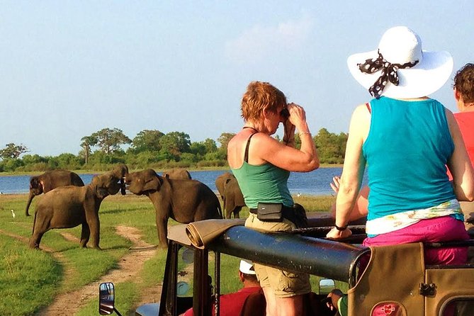 Yala Safari Tour from Hambantota Port (Shore Excursion) - From Hambantota Port to Yala’s park gate