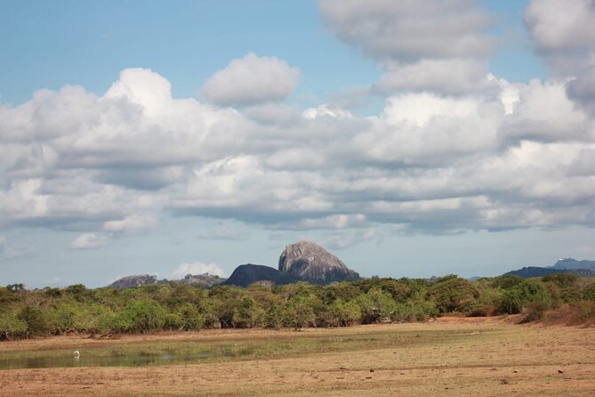 Yala safari Tours Morning /Afternoon /Fullday - Food, water, and the midday pause